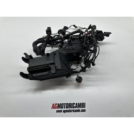 CABLEADO DEL SISTEMA ELÉCTRICO BMW K 1200 GT K1200GT 2003-2006