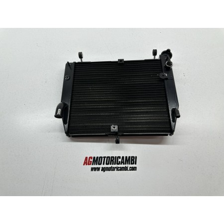 RADIATORE YAMAHA YZF R1 2002-2003