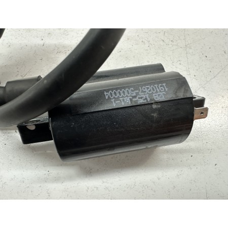 KEEWAY SUPERLIGHT 125 LIMITED 2016-2020-2022 IGNITION COIL