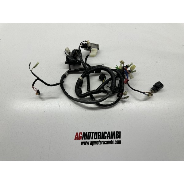 ELECTRICAL SYSTEM WIRING YAMAHA XT 600 E 1996-2004
