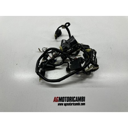 ELECTRICAL SYSTEM WIRING YAMAHA TDM 850 1996-2002 4TX