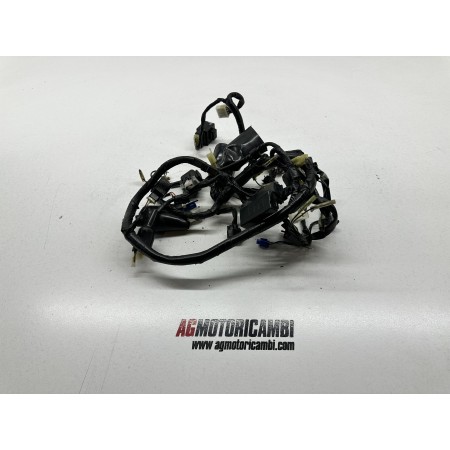 ELEKTRISCHE ANLAGE VERKABELUNG YAMAHA TDM 850 1996-2002 4TX