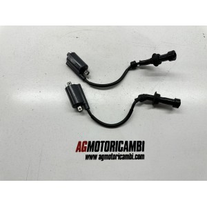 COPPIA BOBINE D'ACCENSIONE YAMAHA TDM 850 1996-2002 4TX