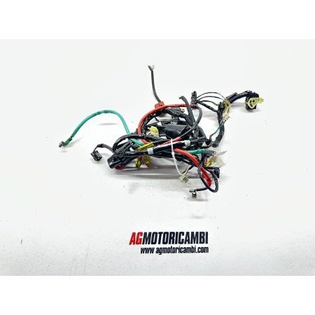 CÂBLAGE DU SYSTEME ELECTRIQUE KYMCO AGILITY CARRY R12 125 2011-2017