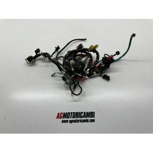 CABLEADO SISTEMA ELÉCTRICO KYMCO AGILITY CARRY R12 125... 2