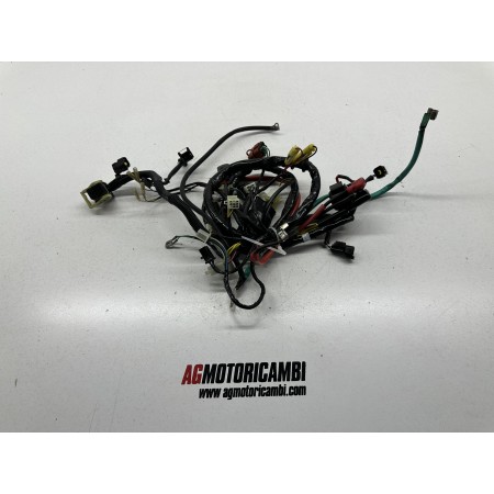 CÂBLAGE DU SYSTEME ELECTRIQUE KYMCO AGILITY CARRY R12 125 2011-2017