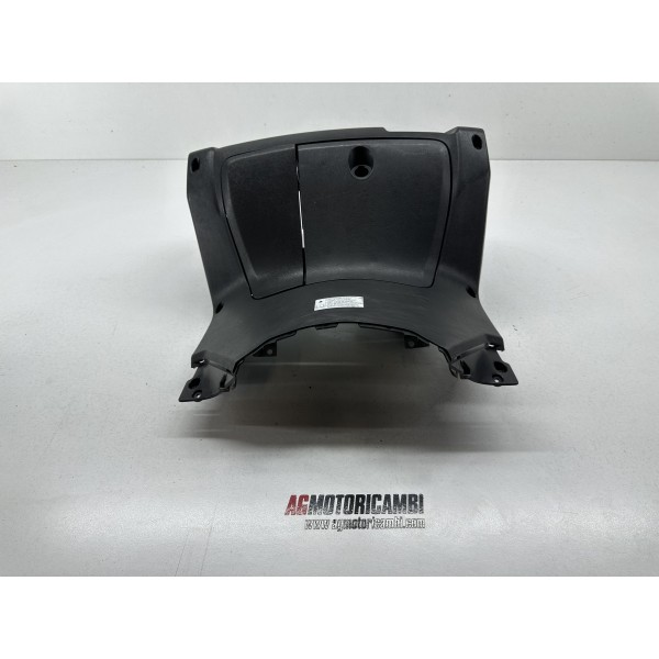 RÜCKENSCHILD YAMAHA X-MAX XMAX 250 2007-2009