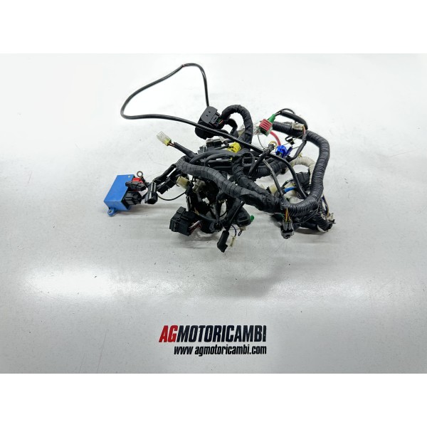 ELEKTRISCHE ANLAGE VERKABELUNG KTM DUKE 125 4T...