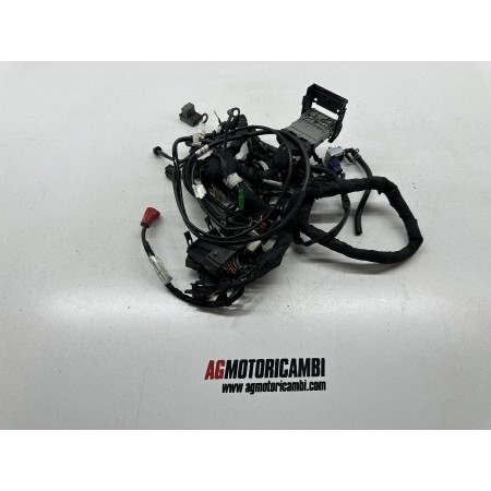 HUSQVARNA VITPILEN 401 2020-2023-2024 ELEKTRISCHES KABELSYSTEM 399cc