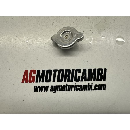 KÜHLERVERSCHLUSSDECKEL SWM SM 125 R 2021-2025