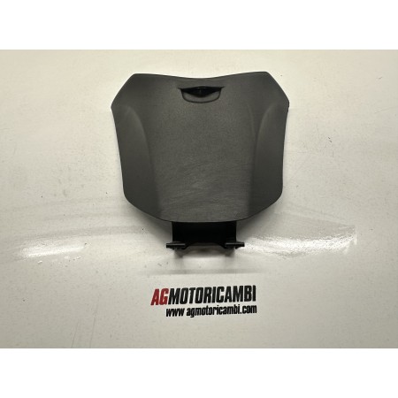 TOPCASE RÜCKWANDKLAPPE PIAGGIO BEVERLY 300 MA21M 2010-2016