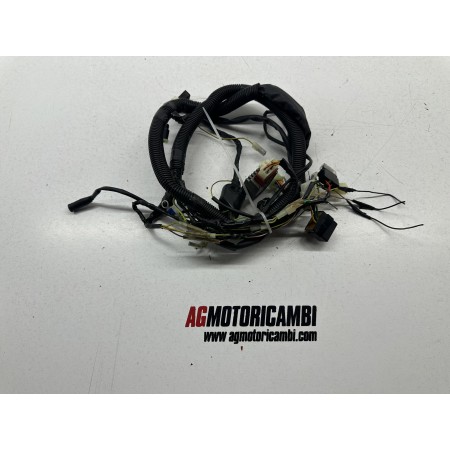 CÂBLAGE ÉLECTRIQUE DERBI SENDA DRD SM 50 2T 2010-2012