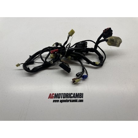 ELECTRICAL SYSTEM WIRING HARNESS HONDA HORNET 600 PC25E 2005 2006