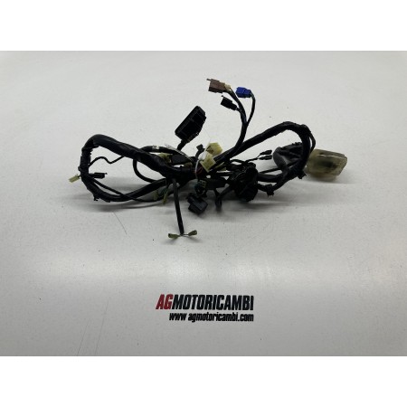 ELECTRICAL SYSTEM WIRING HARNESS HONDA HORNET 600 PC25E 2005 2006