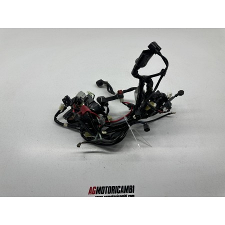 CÂBLAGE DU SYSTEME ELECTRIQUE YAMAHA FZ8 800 2011-2015