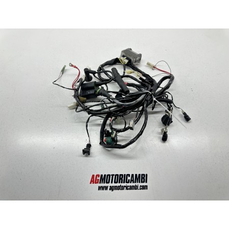 CABLEADO DEL SISTEMA ELÉCTRICO PIAGGIO NRG POWER DD 50 2T 2005-2017