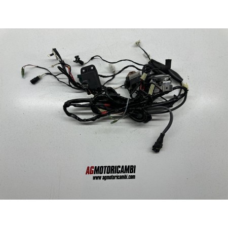 ELECTRICAL SYSTEM WIRING PIAGGIO NRG POWER DD DT 50 2T 2012-2017