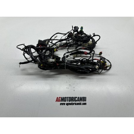 CABLEADO SISTEMA ELÉCTRICO PIAGGIO X EVO 250 2007-2011