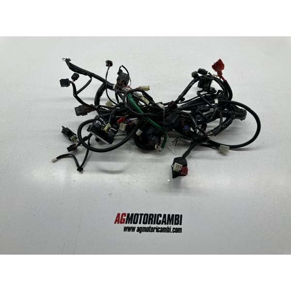 ELEKTRISCHE VERDRAHTUNG SYM CRUISYM 300 ABS...