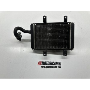 SYMISYM CRUISYM 300 ABS 2017-2020 RADIATOR