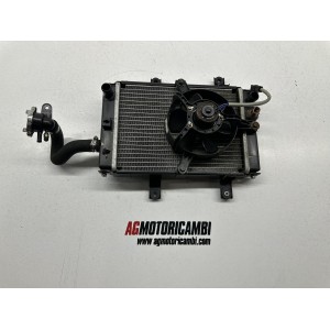 RADIATEUR SYMISYM CRUISYM 300 ABS 2017-2020 2