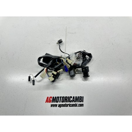 ELECTRICAL SYSTEM WIRING YAMAHA TTR 600 1997-2000-2003