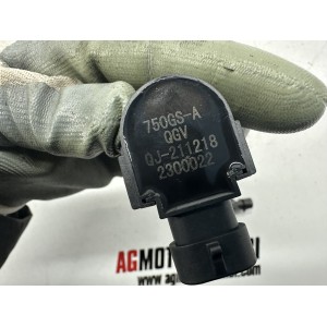 PAIRE DE BOBINES D'ALLUMAGE BENELLI LEONCINO 800 TRAIL... 2